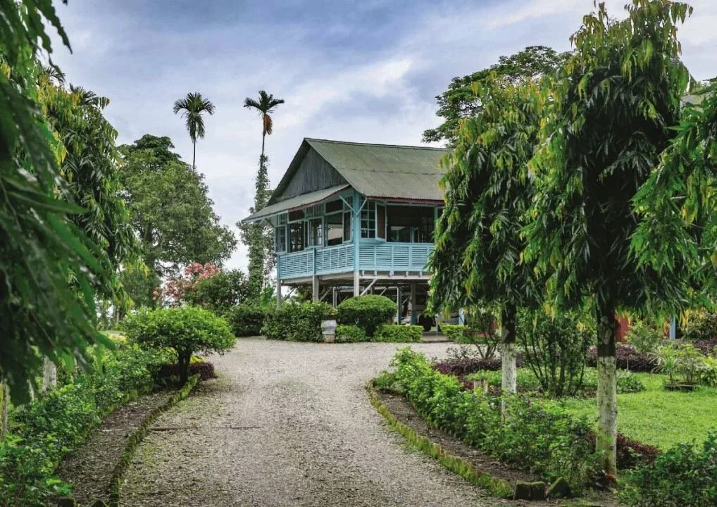Burra Bungalows of North Bengal - inside spread 8
